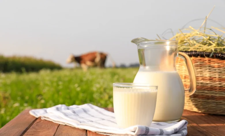 The Ultimate Guide to WellHealth Organic Buffalo Milk: Unveiling the Tag