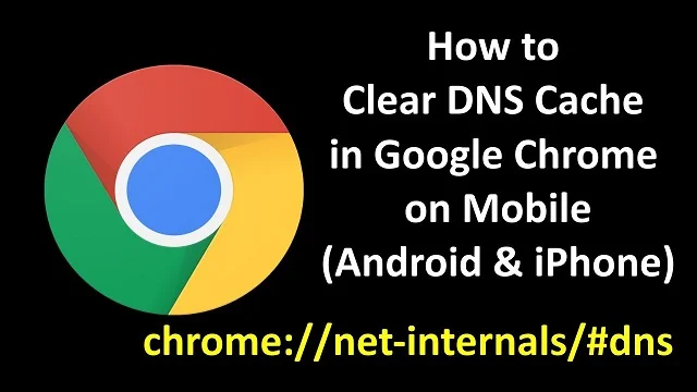 chrome //net-internals/#dns mobile